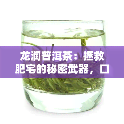 龙润普洱茶：拯救肥宅的秘密武器，口感与健并存