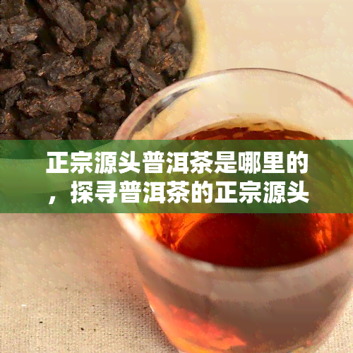 正宗源头普洱茶是哪里的，探寻普洱茶的正宗源头：你知道它来自哪里吗？