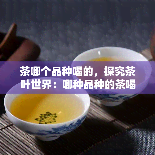 茶哪个品种喝的，探究茶叶世界：哪种品种的茶喝？