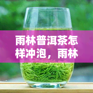 雨林普洱茶怎样冲泡，雨林普洱茶的冲泡技巧与方法