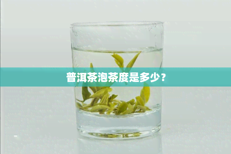 普洱茶泡茶度是多少？