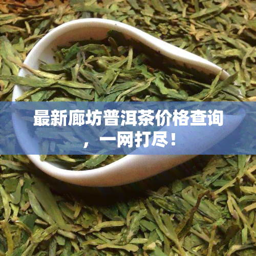 最新廊坊普洱茶价格查询，一网打尽！