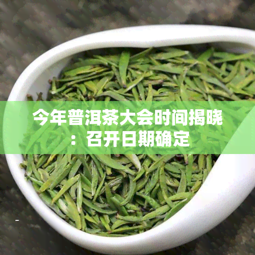 今年普洱茶大会时间揭晓：召开日期确定