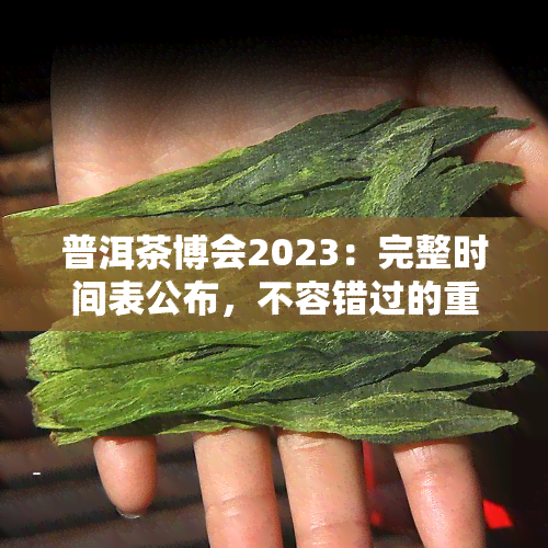 普洱茶博会2023：完整时间表公布，不容错过的重要茶事活动！