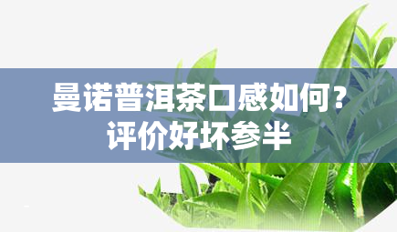 曼诺普洱茶口感如何？评价好坏参半