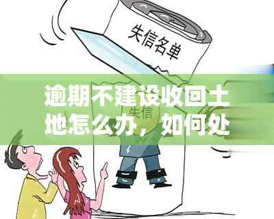 逾期不建设收回土地怎么办，如何处理逾期未建设导致的土地收回问题？