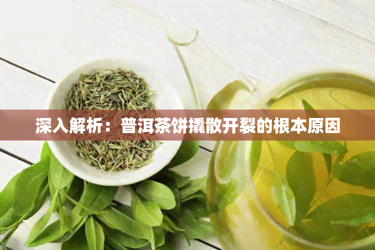 深入解析：普洱茶饼撬散开裂的根本原因