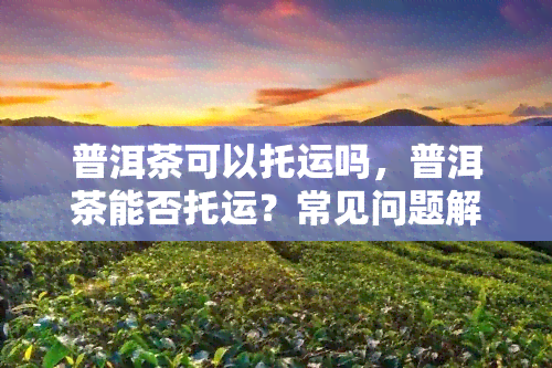 普洱茶可以托运吗，普洱茶能否托运？常见问题解答