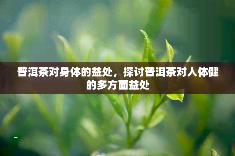 普洱茶对身体的益处，探讨普洱茶对人体健的多方面益处