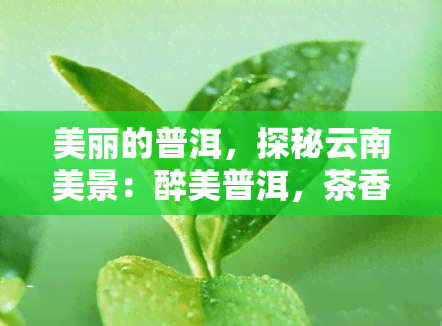 美丽的普洱，探秘云南美景：醉美普洱，茶香四溢