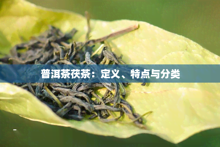 普洱茶茯茶：定义、特点与分类