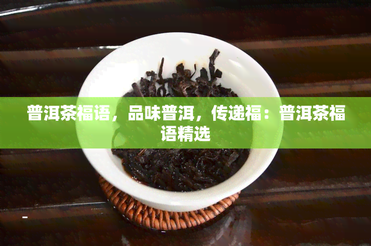 普洱茶福语，品味普洱，传递福：普洱茶福语精选