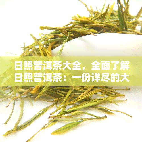 日照普洱茶大全，全面了解日照普洱茶：一份详尽的大全