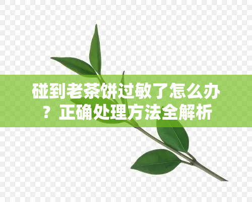 碰到老茶饼过敏了怎么办？正确处理方法全解析