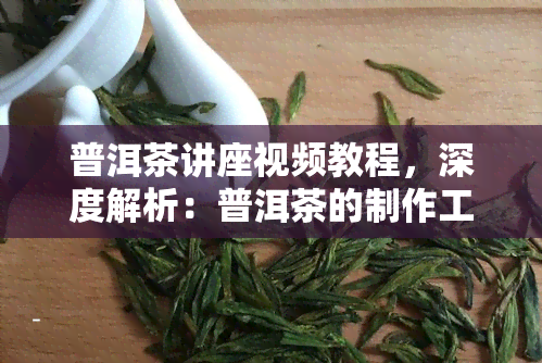 普洱茶讲座视频教程，深度解析：普洱茶的制作工艺与品鉴技巧——普洱茶讲座视频教程