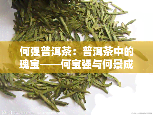 何强普洱茶：普洱茶中的瑰宝——何宝强与何景成的故事