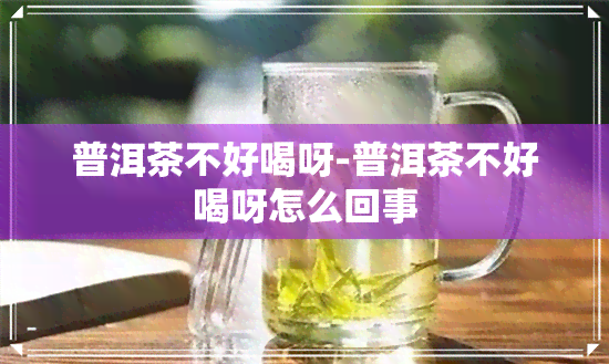 普洱茶不好喝呀-普洱茶不好喝呀怎么回事