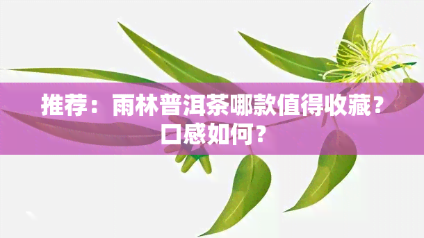 推荐：雨林普洱茶哪款值得收藏？口感如何？