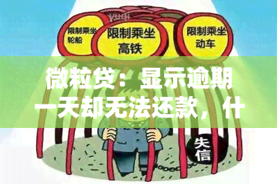 微粒贷：显示逾期一天却无法还款，什么情况？