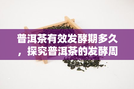 普洱茶有效发酵期多久，探究普洱茶的发酵周期：有效发酵期有多久？