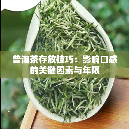 普洱茶存放技巧：影响口感的关键因素与年限