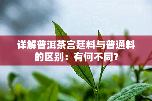 详解普洱茶宫廷料与普通料的区别：有何不同？