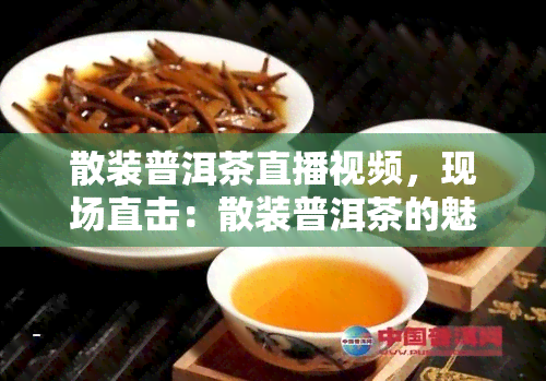 散装普洱茶直播视频，现场直击：散装普洱茶的魅力与冲泡技巧全解析！