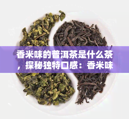 香米味的普洱茶是什么茶，探秘独特口感：香米味的普洱茶，你了解吗？