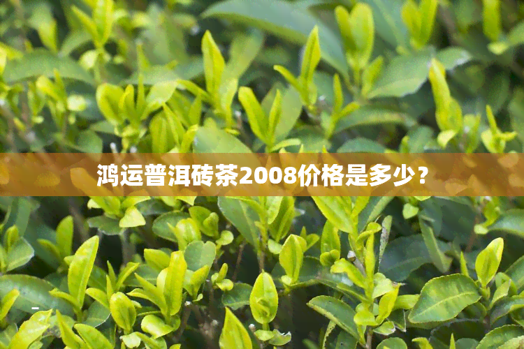 鸿运普洱砖茶2008价格是多少？