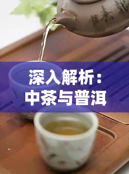 深入解析：中茶与普洱茶业的紧密关系及影响图