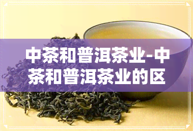 中茶和普洱茶业-中茶和普洱茶业的区别