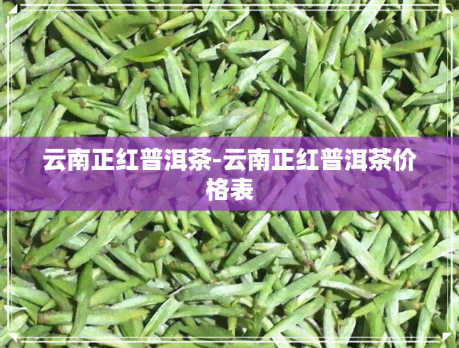 云南正红普洱茶-云南正红普洱茶价格表