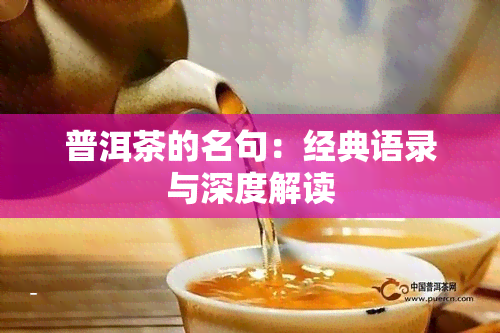 普洱茶的名句：经典语录与深度解读