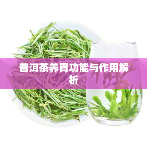 普洱茶养胃功能与作用解析