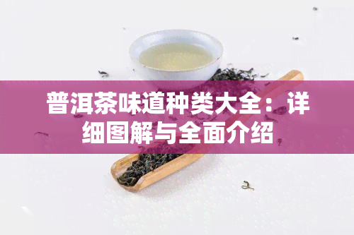 普洱茶味道种类大全：详细图解与全面介绍