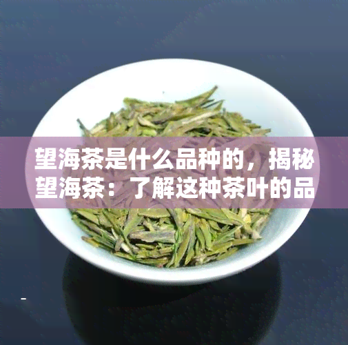 望海茶是什么品种的，揭秘望海茶：了解这种茶叶的品种特性