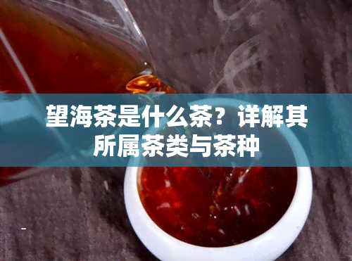 望海茶是什么茶？详解其所属茶类与茶种