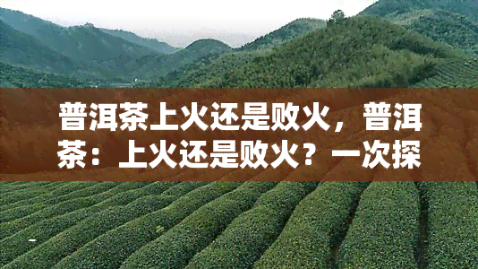 普洱茶上火还是败火，普洱茶：上火还是败火？一次探讨