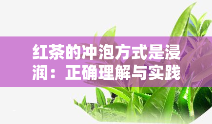 红茶的冲泡方式是浸润：正确理解与实践