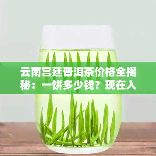 云南宫廷普洱茶价格全揭秘：一饼多少钱？现在入手要多少？