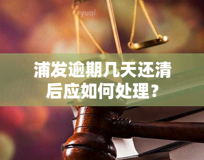 浦发逾期几天还清后应如何处理？