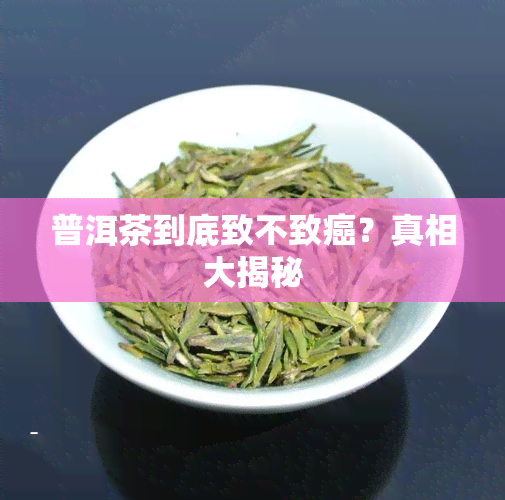 普洱茶到底致不致癌？真相大揭秘