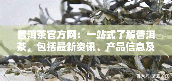 普洱茶官方网：一站式了解普洱茶，包括最新资讯、产品信息及购买指南