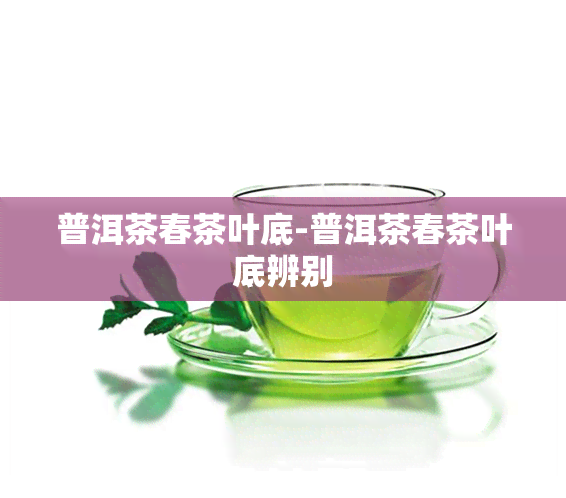 普洱茶春茶叶底-普洱茶春茶叶底辨别