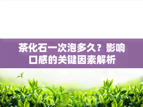 茶化石一次泡多久？影响口感的关键因素解析