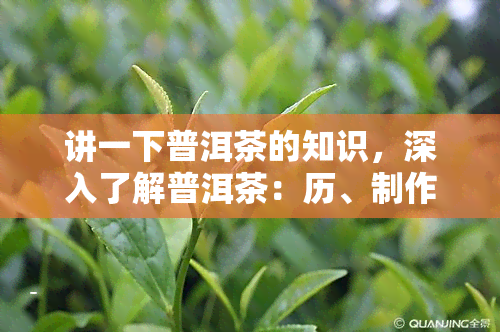 讲一下普洱茶的知识，深入了解普洱茶：历、制作与品鉴技巧