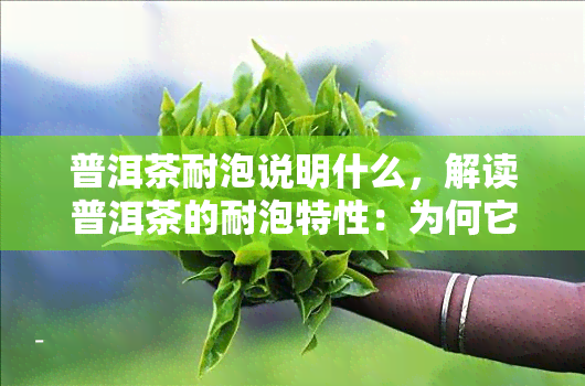 普洱茶耐泡说明什么，解读普洱茶的耐泡特性：为何它能经久不衰？