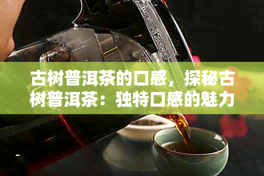 古树普洱茶的口感，探秘古树普洱茶：独特口感的魅力所在