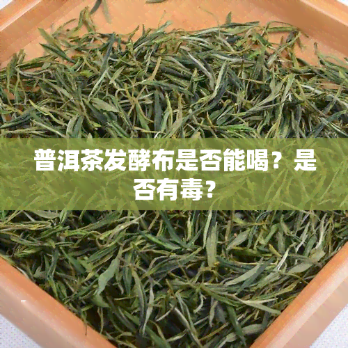 普洱茶发酵布是否能喝？是否有？