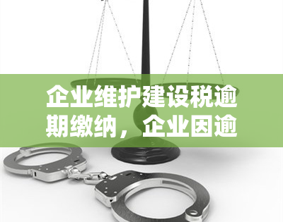 企业维护建设税逾期缴纳，企业因逾期缴纳维护建设税而面临的风险和应对措